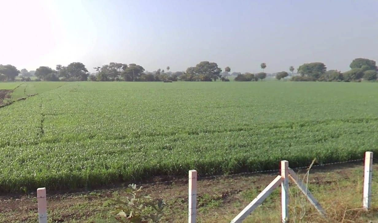 6RP2+GGR, Surasa, Madhya Pradesh 456006, India