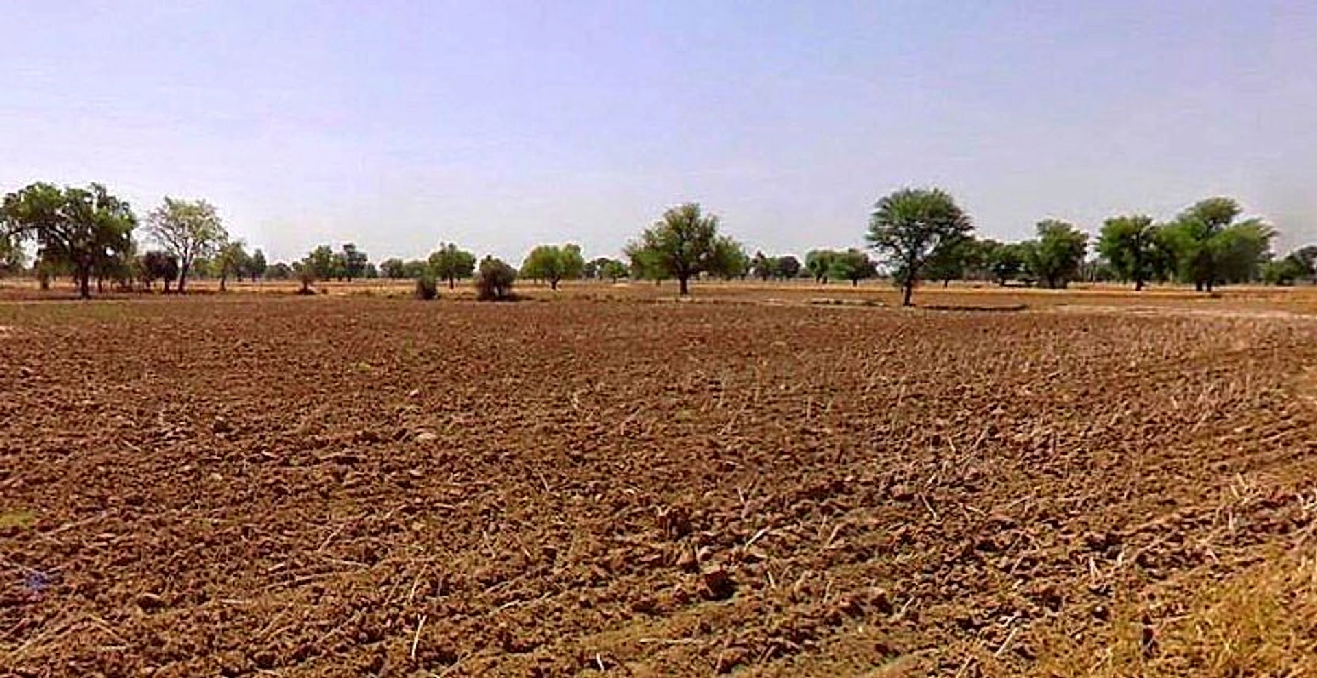 Chandla, Madhya Pradesh 471525, India