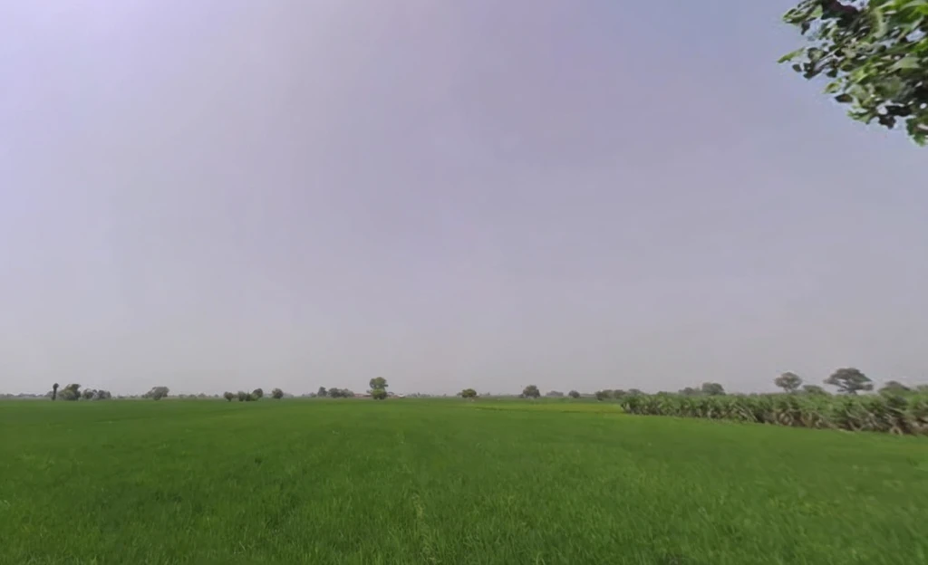 7472+Q69, Panipat, Matnauli, Haryana 132122, India