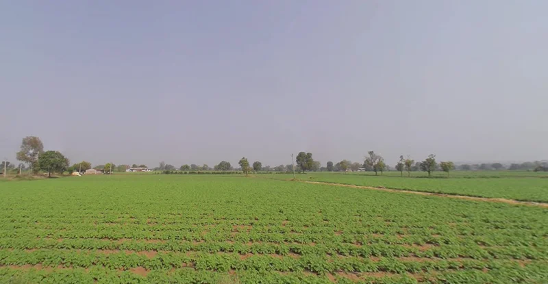 F8JP+8M Vanthli, Gujarat, India preview 3