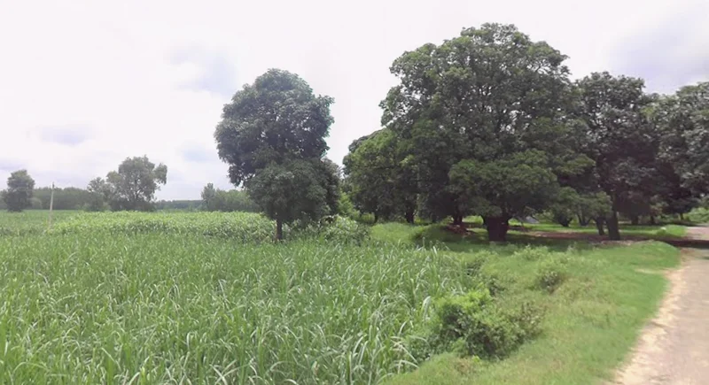 Mawana, Uttar Pradesh, India preview 2