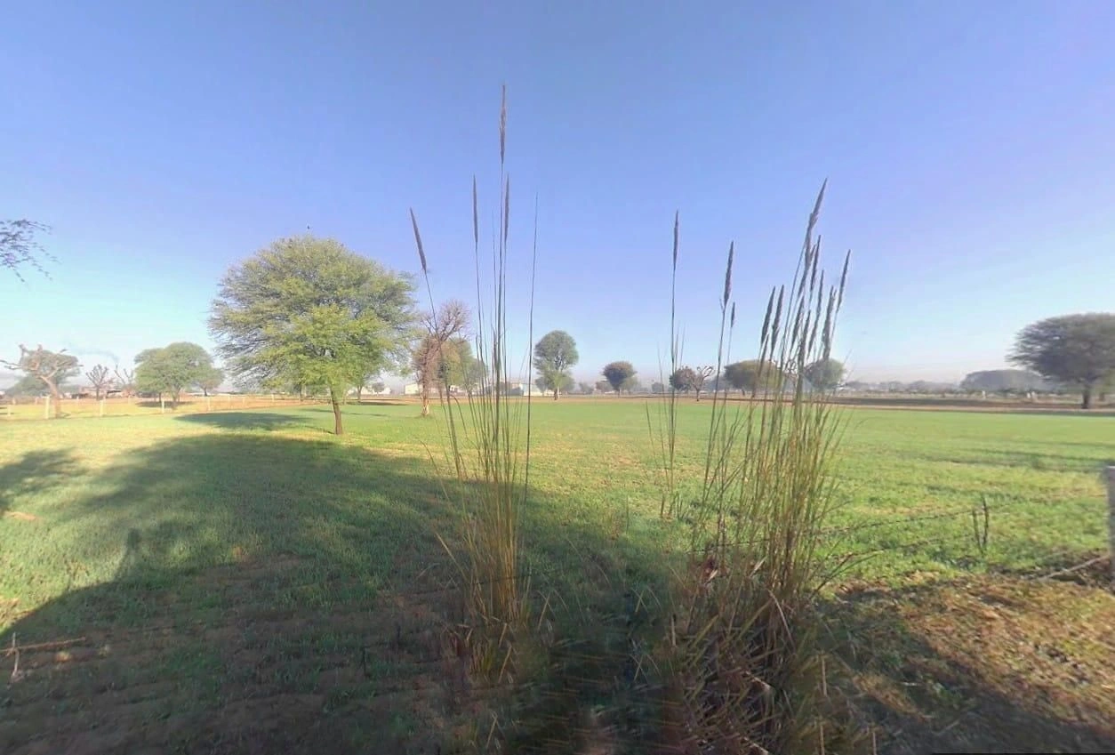 Kaladera, Rajasthan 303801, India