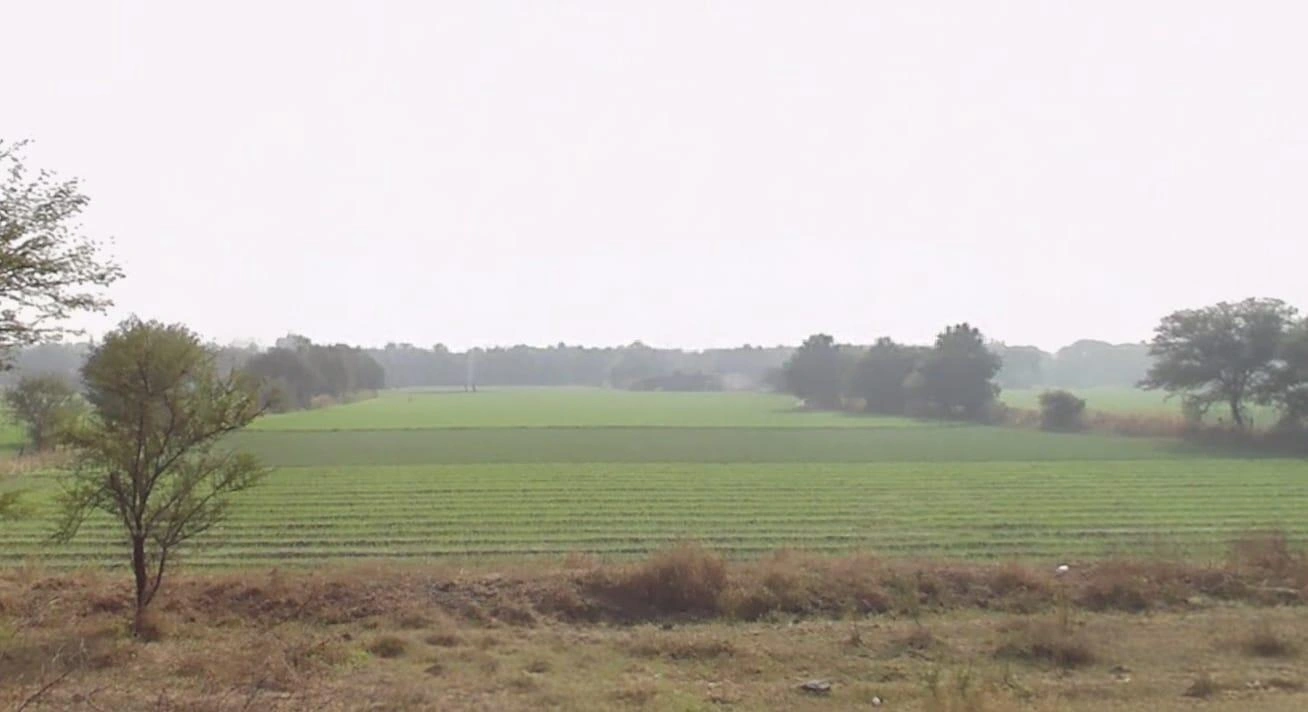 9398+HQ6, Borwana, Madhya Pradesh 457001, India