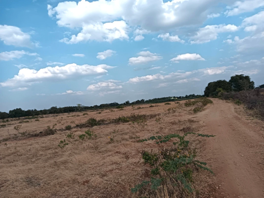 WJXJ+QV Hiriyur, Karnataka, India