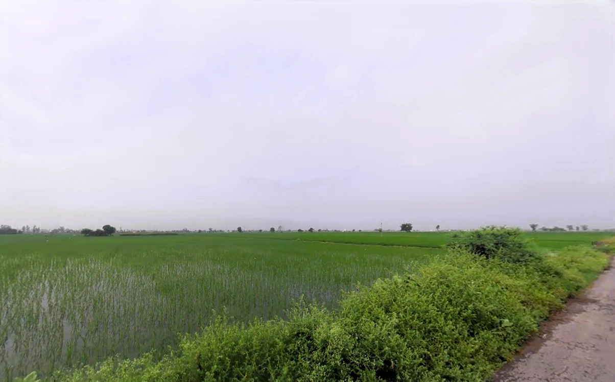 Assandh, Haryana 132039, India preview 3