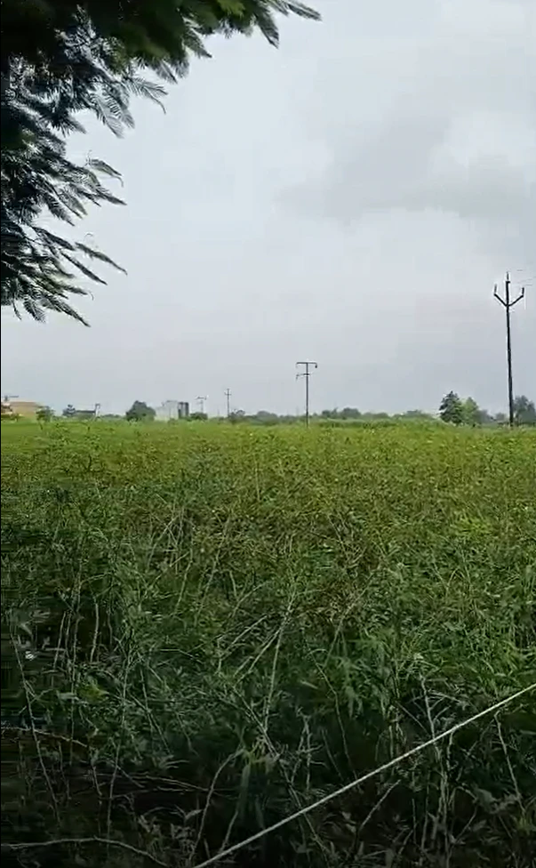 XM82+X6, Malyana, Meerut, Uttar Pradesh 250002, India