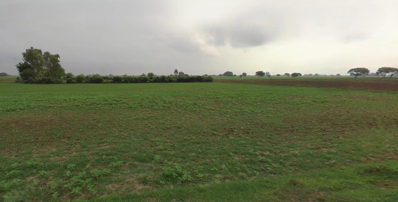 Barnagar, Madhya Pradesh 456771, India