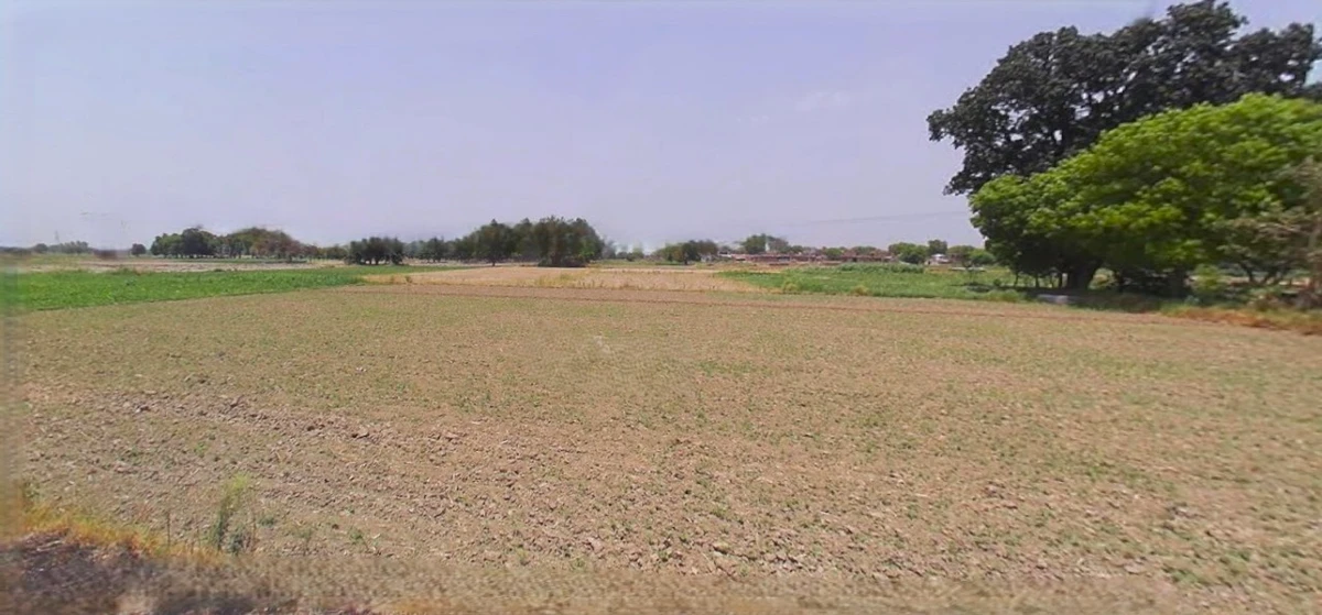 Barnagar, Madhya Pradesh 456771, India