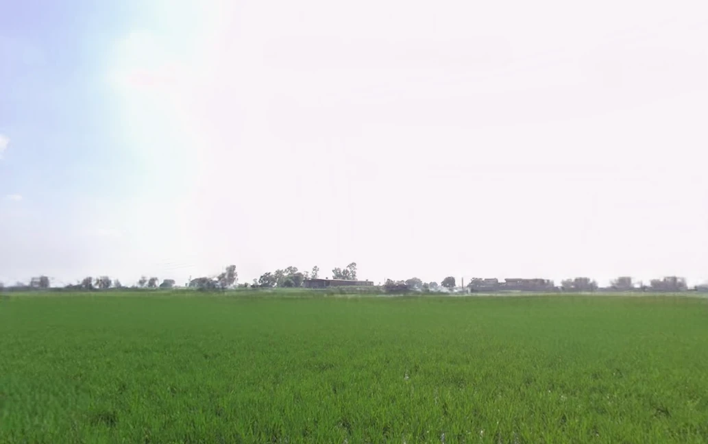 Behram, Punjab 144504, India