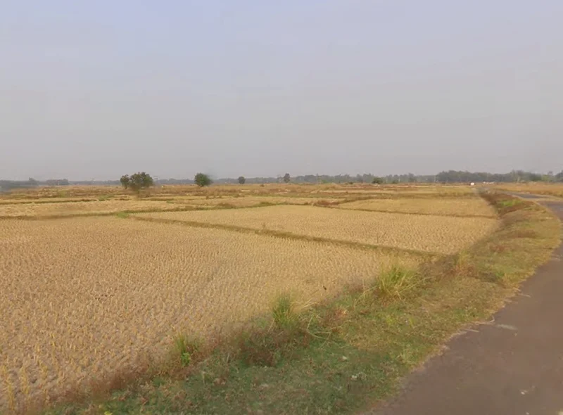 Kasba Narayangarh, West Bengal 721437, India preview 3