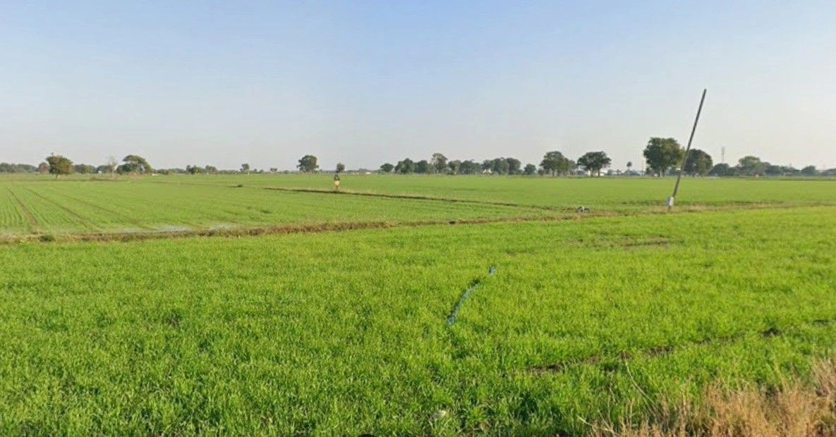 Gopalpura, Madhya Pradesh 475673, India