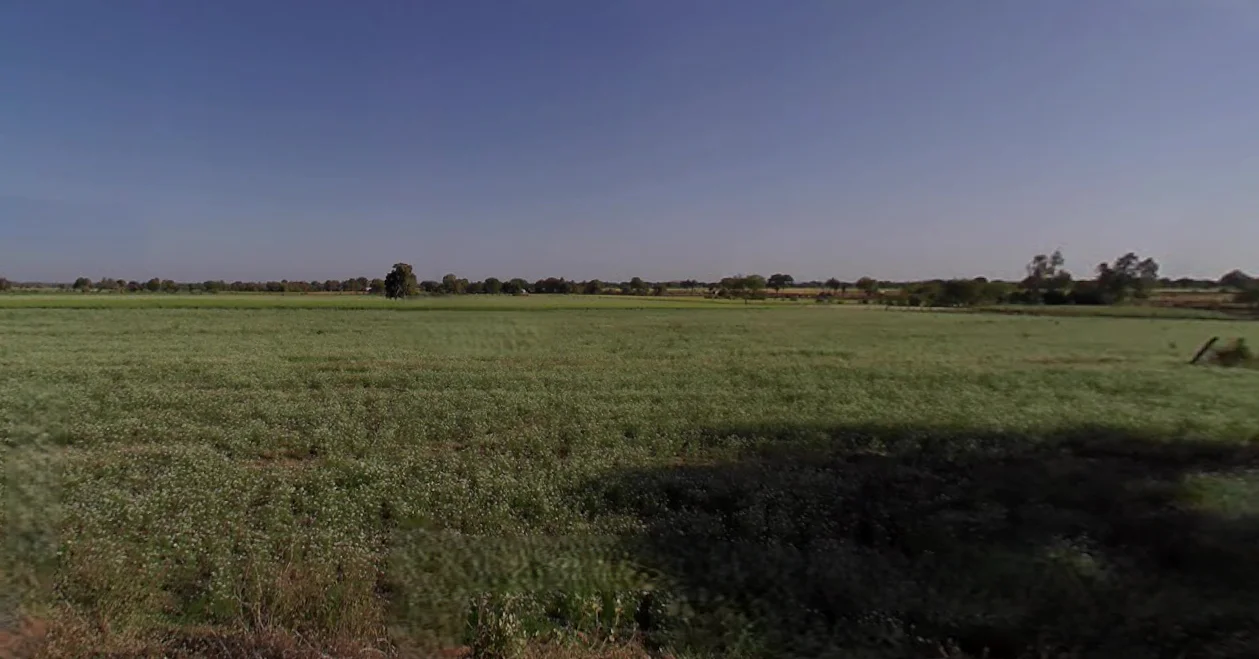 Bilara, Rajasthan 342602, India preview 2