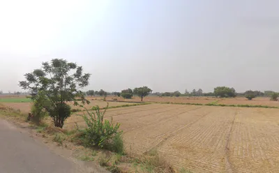 Fatehpuri, Haryana 124109, India preview 2