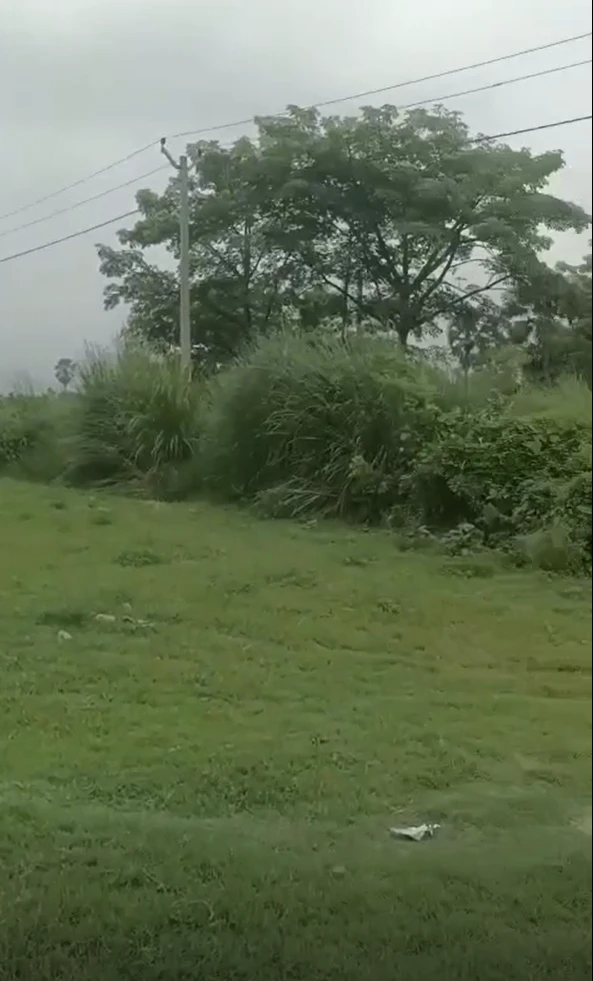 25VM+FC Gidha, Muzaffarpur, Bihar, India