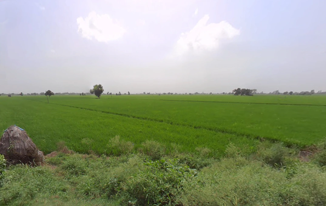 Rakshera, Haryana 132115, India