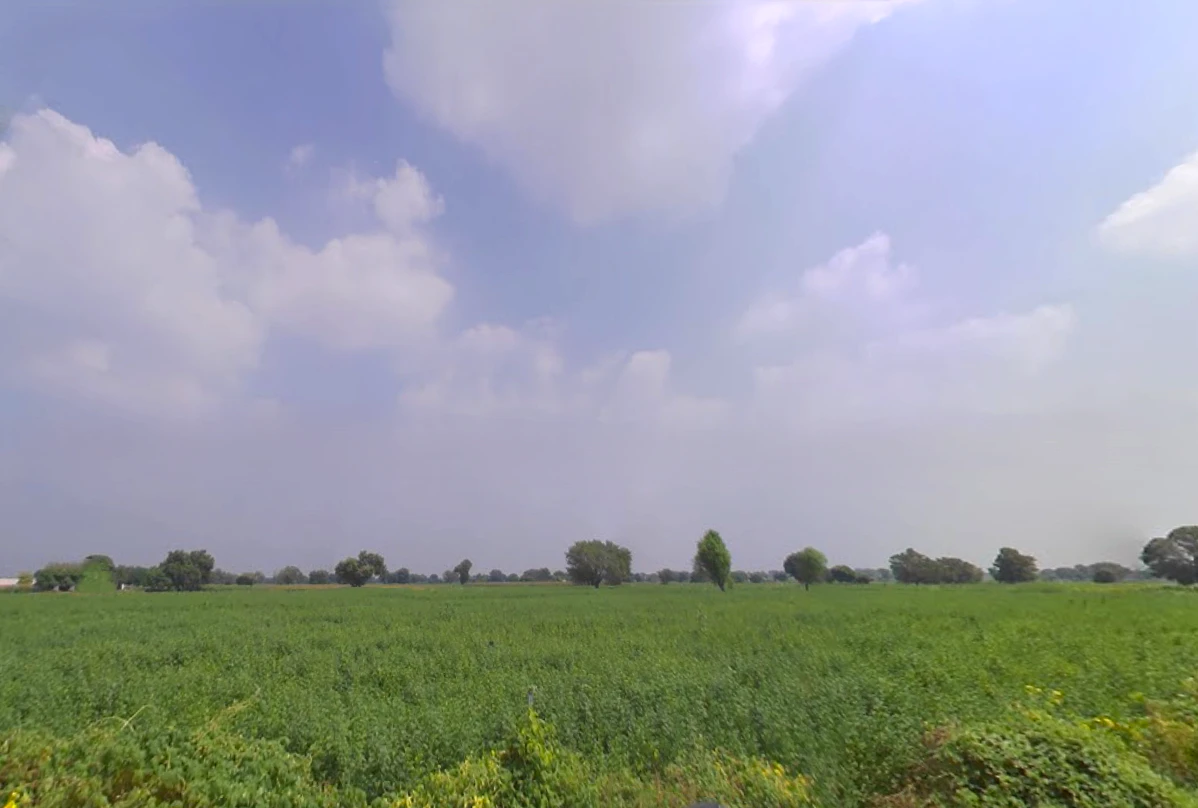 Siwani, Haryana 127046, India