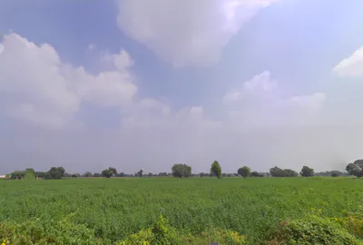 Siwani, Haryana 127046, India preview 3