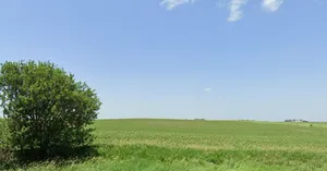 693, Sector 3, Pithampur Industrial Area, Pithampur, Madhya Pradesh 454774, India preview 2