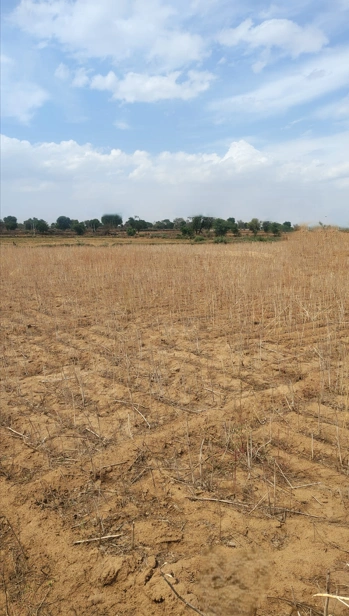 Anupshahar, Uttar Pradesh 203390, India preview 3