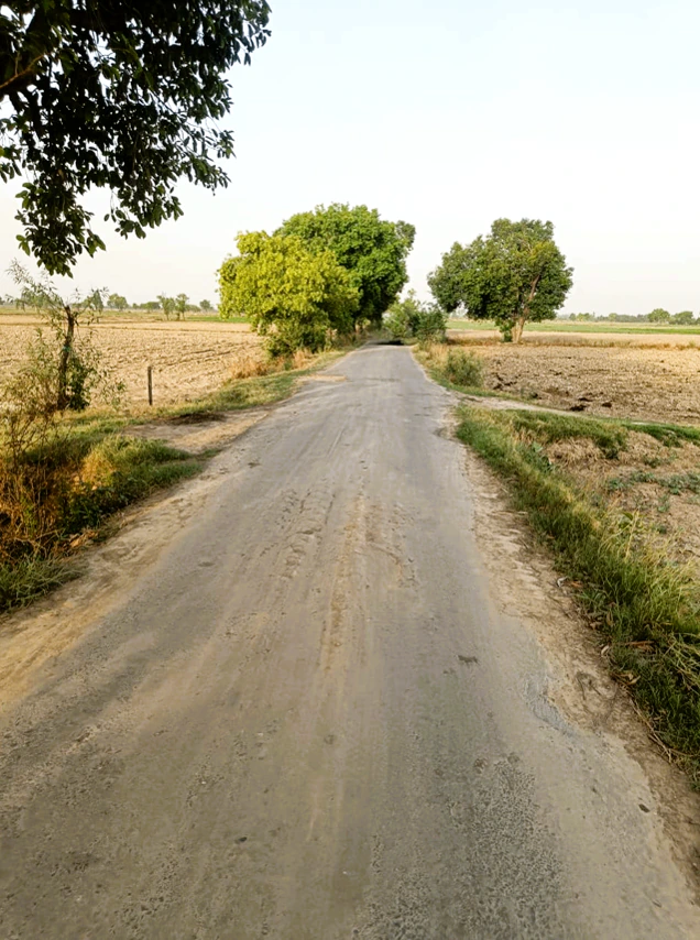 Lilas, Haryana 127046, India