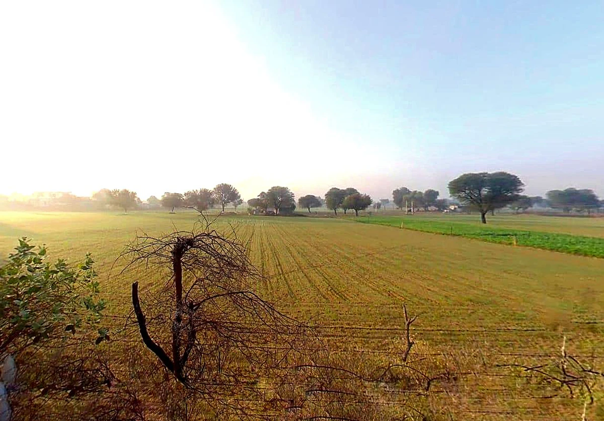 Sargoth, Rajasthan 332404, India