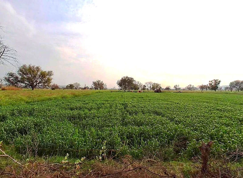 Pachar, Rajasthan, India preview 2