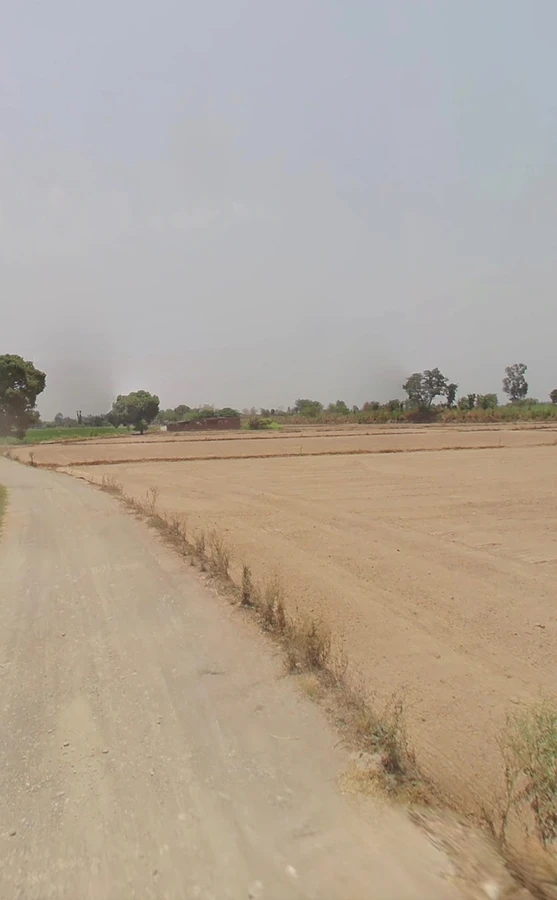 M8HH+7MF, Gulalwali, Uttar Pradesh 246749, India