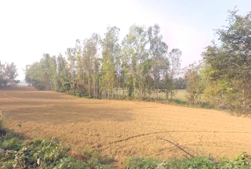 75X8+FFG, Barkheda, Piplya, Madhya Pradesh 473287, India