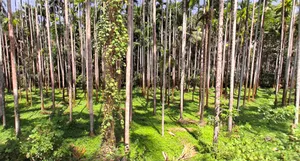 Belthangady, Karnataka 574214, India preview 2