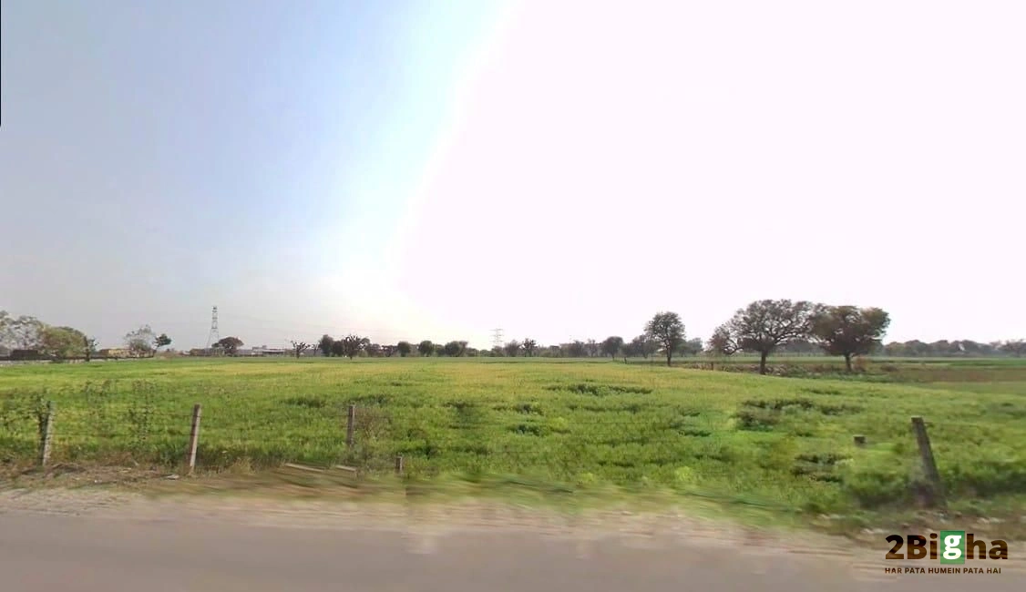 Lat: 26.867539623776487, Lng: 75.56639866692835