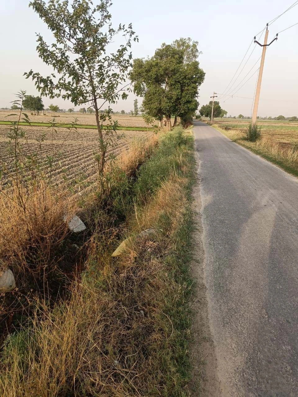 Tentigaon, Uttar Pradesh, India