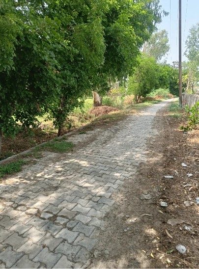 Jatiyana, Rajasthan, India