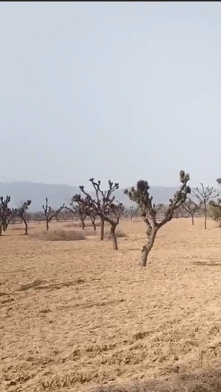 Danta Ramgarh, Rajasthan 332703, India