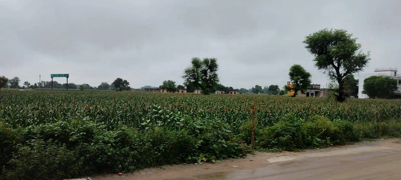 NH 703, Moga, Bilaspur, Punjab 142039, India