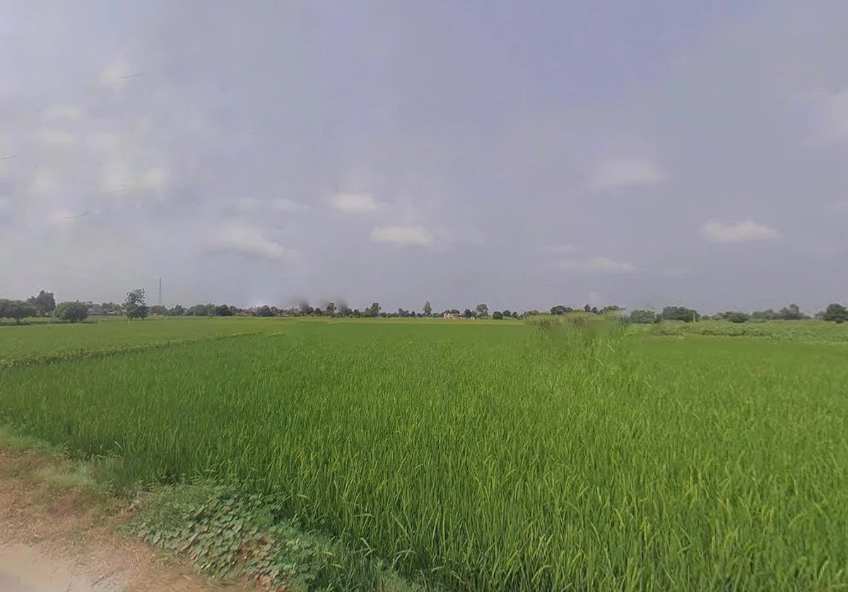 Bihta, Bihar 801103, India