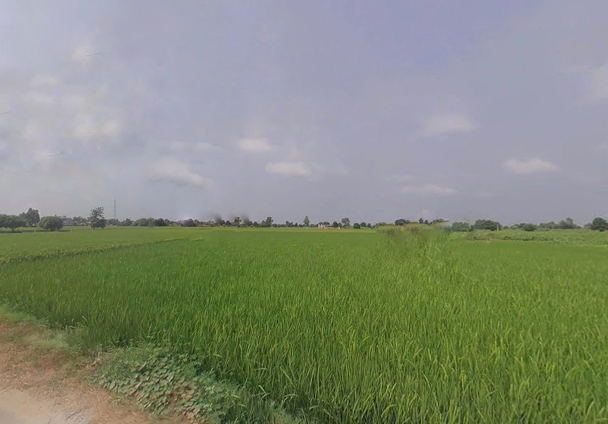 Bihta, Bihar 801103, India