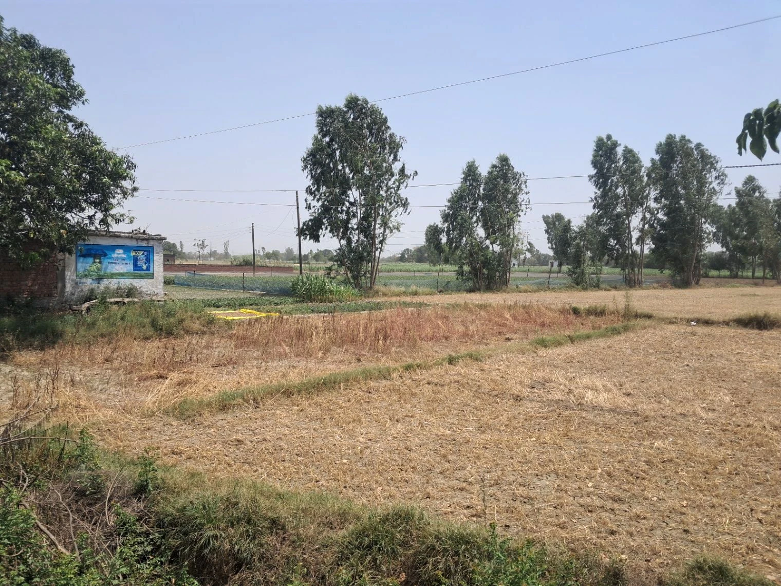 M775+CP Haisa, Uttar Pradesh, India