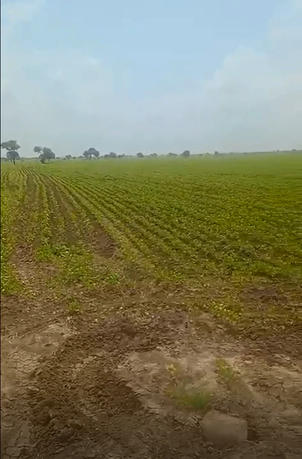Berasia, Bhopal, Madhya Pradesh 463106, India