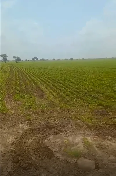 Berasia, Bhopal, Madhya Pradesh 463106, India preview 3