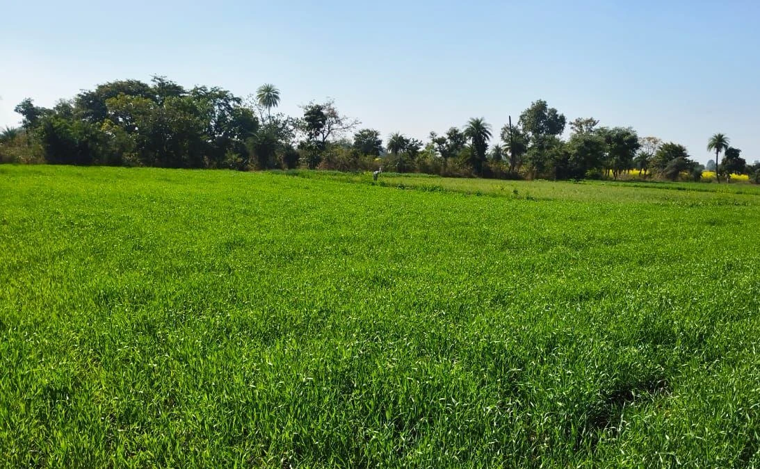 Suthaliya, Madhya Pradesh 465677, India