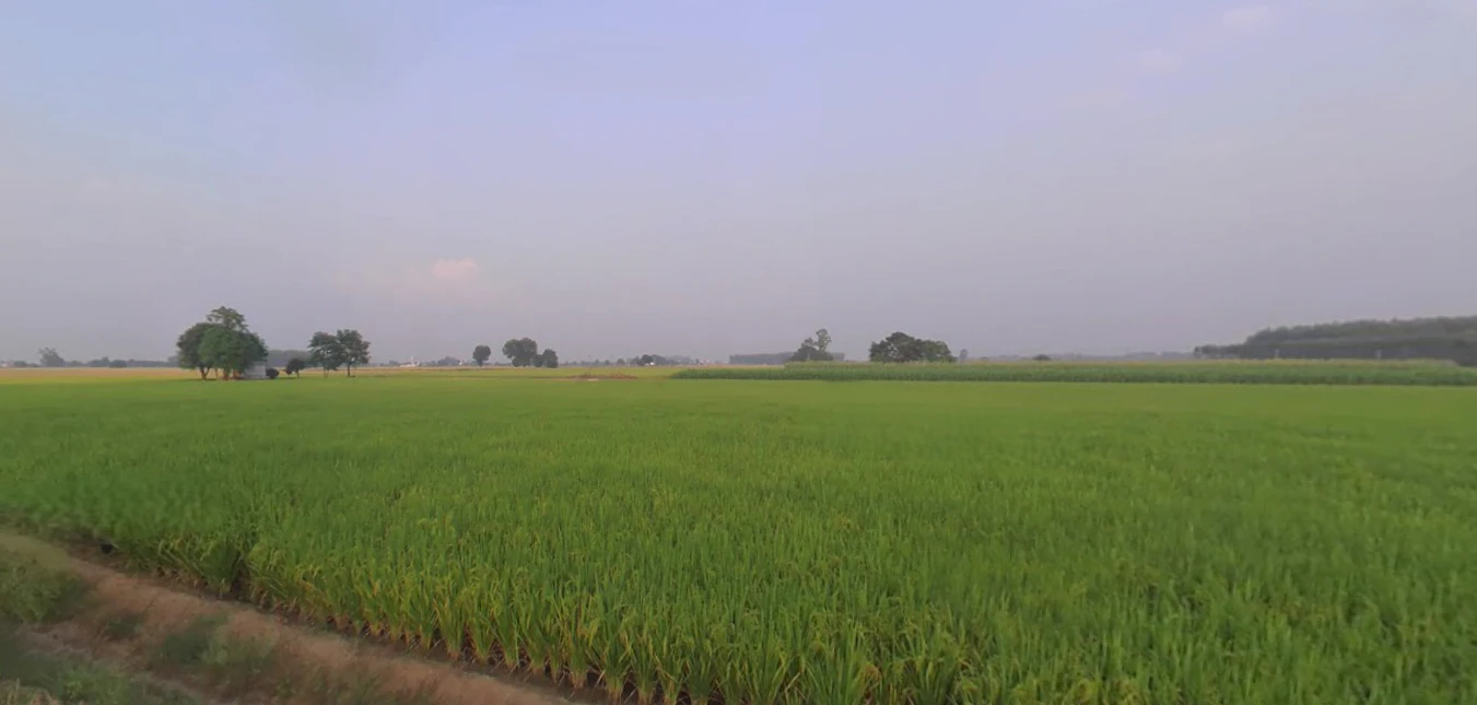 Ludhiana, Punjab, India