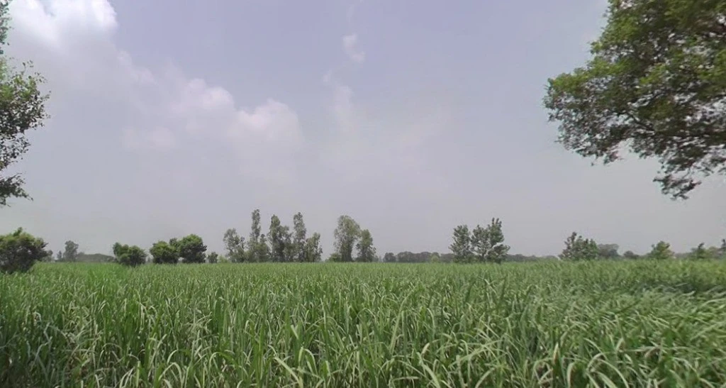 Kashipur, Uttar Pradesh, India