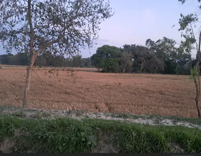 Kishangarh, Punjab 144301, India preview 2