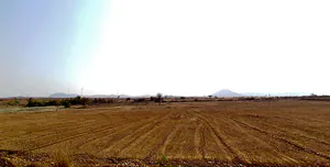 Telagarahalli village Anekal Taluk Telagarahalli, Weaver Colony, Anekal, Anekal Rural, Karnataka 562106, India preview 2