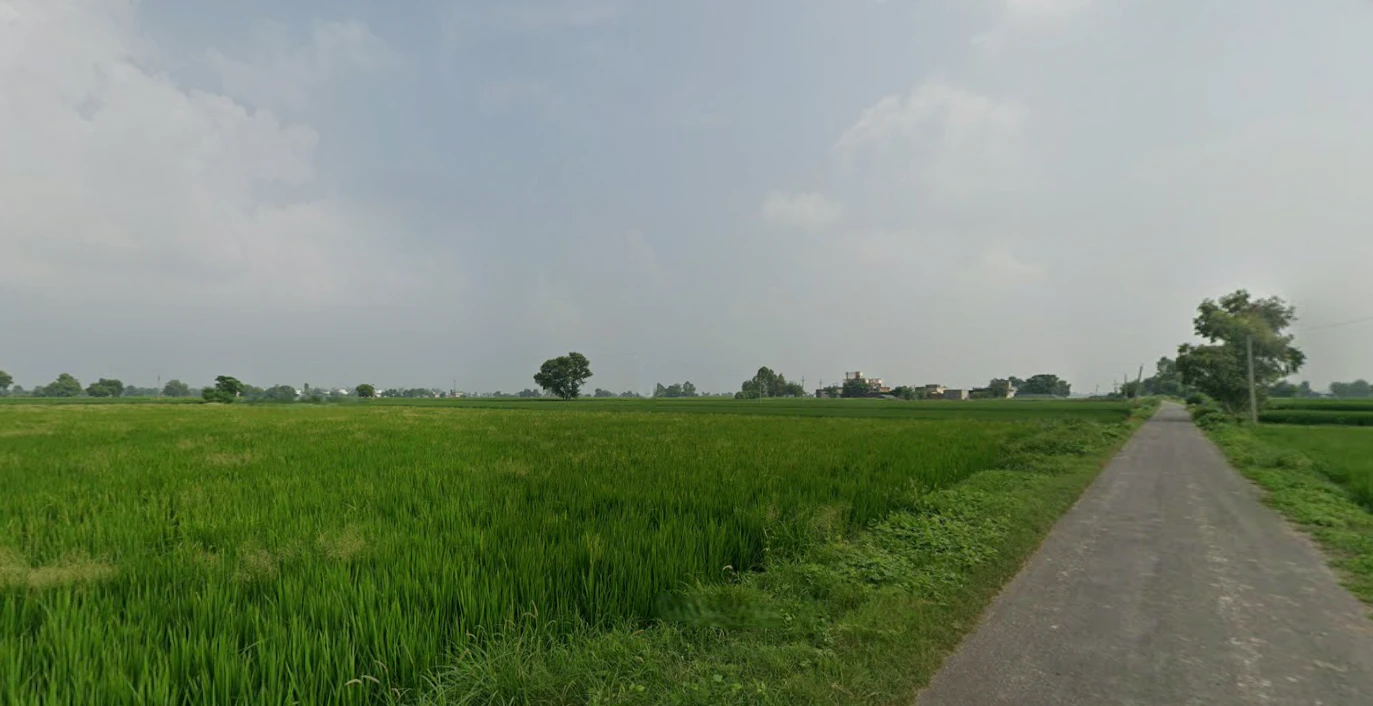 Balachaur, Punjab 144521, India