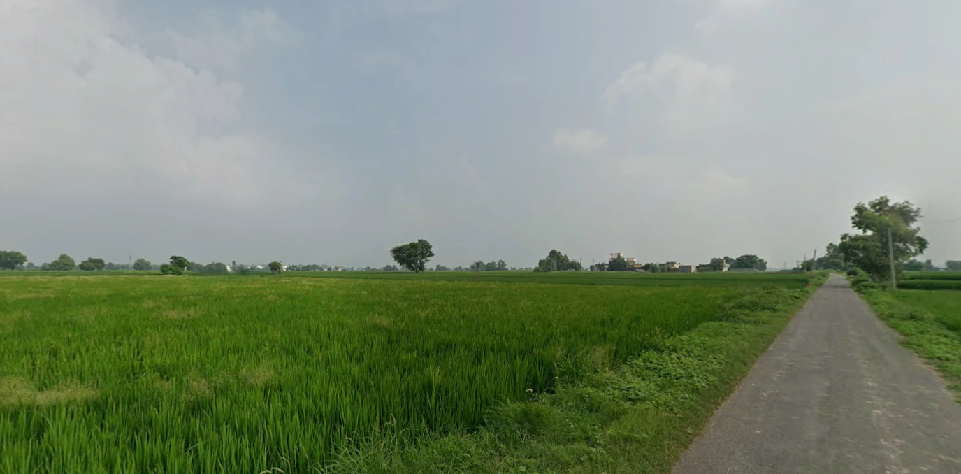 Nurpur Bedi, Punjab 140117, India