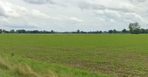 Bagaspur, Madhya Pradesh 464986, India preview 2