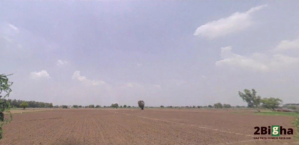 Hansi, Haryana 125033, India