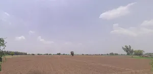 Hansi, Haryana 125033, India preview 3