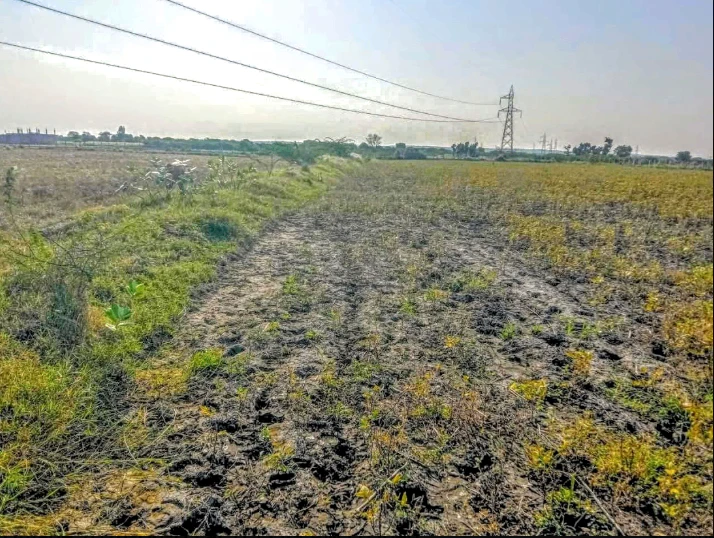 Begumganj, Madhya Pradesh, India